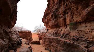 The results could ultimately help scientists understand whether dust contributes to climate change or counters it. Photo: EPA-EFE