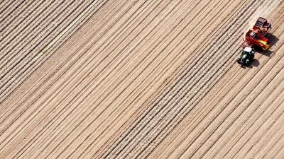 A tractor pulls a potato digger as a farmer harvests a field near Ebstorf, Germany. Philipp Schulze / EPA
