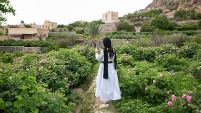 Maryam Al Saleh, 31, from Muscat takes a picture on a tour of the rose gardens of Al Ayn village in Jebel Akhdar in Oman. March and April are harvest season for roses in the picturesque mountains. All photos: Tara Atkinson