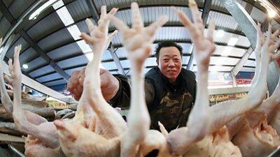 China’s biggest poultry supplier said profits would be hurt by a report that some of its chicken was not properly inspected. REUTERS