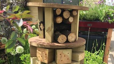 Nigel Dunnett - RHS Greening Grey Britain insect sanctuary. Courtesy RHS Chelsea Flower Show
