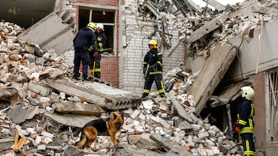 A dog stands on the rubble as rescuers work at the site of a destroyed building during a Russian missile strike in Chernihiv. Reuters