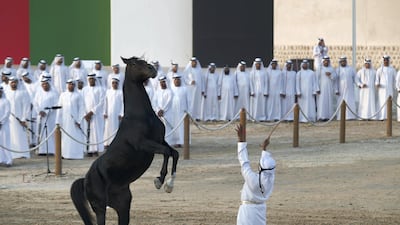 Horseman participate in the Union March during the Sheikh Zayed Heritage Festival. Mohamed Al Suwaidi / Crown Prince Court - Abu Dhabi