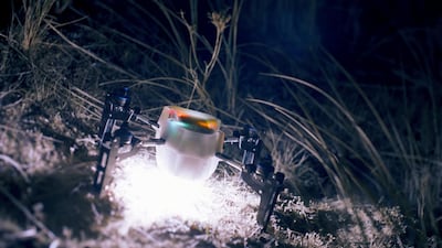 A close up view of one of the 300 drones. Greenpeace