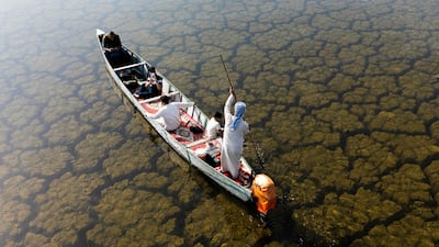 A fishing boat takes to the Iraqi Hawizeh Marshes in Maysan province, after water returned due to rainfall following a long period of drought. AFP