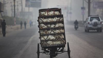 Live chickens are transported in a tricycle in Ghaziabad, on the outskirts of New Delhi. Bernat Armangue / AP Photo
