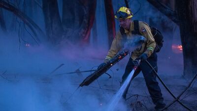 A firefighter douses a burning log near Aromas, California. AP