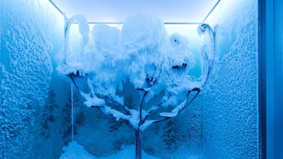 Desert Snow has only just started selling the areasana snow rooms, which are produced in Germany. Courtesy Desert Snow