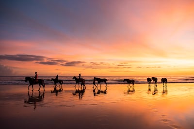 The resort also has its own herd of 22 horses, offering any guest the chance to ride on the sand and in the surf. Photo: Tania Araujo
