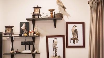 A 'falcon wall' at the the house of Kuwaiti falconer Ahmad Al Nowaif. Sebastian Castelier for The National