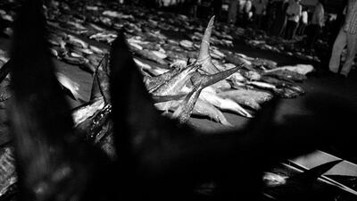 05:03am - Going.... fish tails.