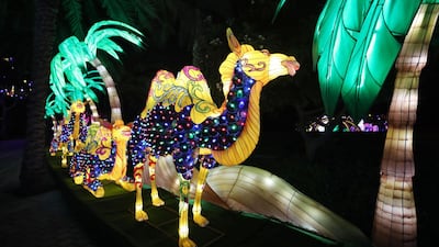 A desert scene with camels and palm trees. Chris Whiteoak / The National