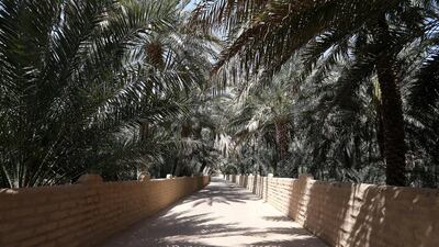 Al Ain Oasis is spread over 1,200 hectares and contains more than 147,000 date palms of about 100 varieties going back more than 4,000 years. Pawan Singh / The National