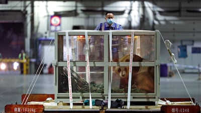 Giant panda Fu Bao arrives at Chengdu Shuangliu International Airport, China, having been born in South Korea. EPA
