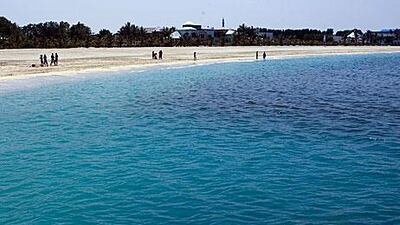 Red tide comes close to Jumeirah Beach in April last year.