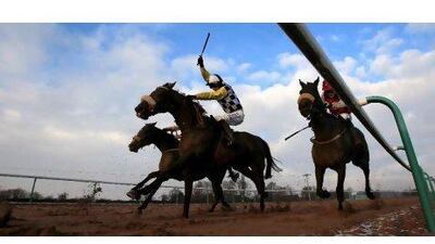 The whip can be a useful tool, if used in the right manner, says our columnist, helping to keep a horse’s mind on the job in early parts of the race and keep them in a racing line.