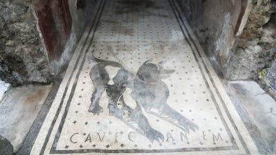 A black and white floor mosaic shows the image of a guard dog and a script in Latin, which says 'Watch the dog'.