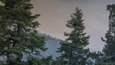 The mountain in the title towers over Palm Springs, California. iStock