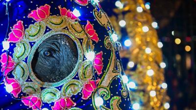 A decorated elephant takes part in celebrations to mark the Buddhist festival of Esala Perahera, in Kandy, Sri Lanka. AFP
