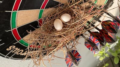 Recently, a couple in Dubai noticed two eggs in a nest on their balcony which are due to hatch any day now. Photos courtesy: Antony Abraham