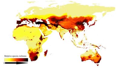 The richness of bee species globally is largely driven by warm weather and access to resources such as water and plants. Source: Current Biology