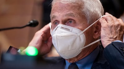 Director of National Institute of Allergy and Infectious Diseases Anthony Fauci in Washington. AP
