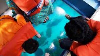 People enjoying the glass-bottomed boat ride at the aquarium in Dubai Mall.