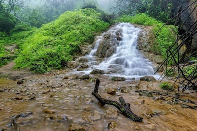 Tumbling waterfalls after a refreshing respite from Gulf summer heat in the Dhofar Governorate of Oman. Courtesy Ministry of Tourism – Oman