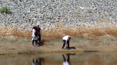 Five species of water flea were identified by the researchers – D. arabica and four species already known to science. Photo: Prof Waleed Hamza