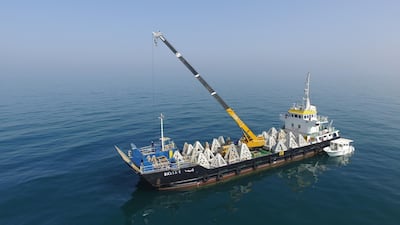 The Ministry of Climate Change and Environment have installed 300 artificial caves made of eco-friendly materials across 30 sites to enhance fish stocks in UAE waters.