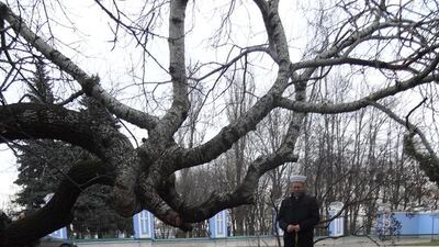 Mufti Said Ismagilov prays over the bodies of civilians killed in Kiev’s Maidan square, Ukraine, on February 20, 2014. Courtesy Ihor Karpishen.