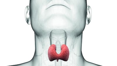 The butterfly-shaped thyroid gland, which sits just above the windpipe, is the most crucial determiner of a person’s metabolic rate and energy. SCIEPRO