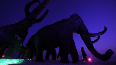 Giant bronze sculptures of mammoths on display during the World Biathlon Championships in the Siberian city of Khanty-Mansiysk. AFP