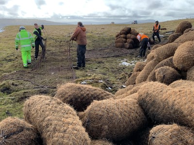 Contractors and coir logs. Jenny Sharman