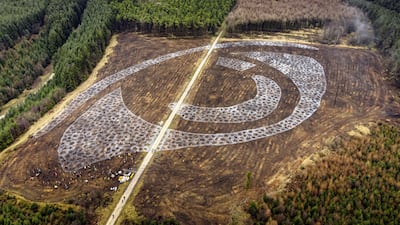 Members of Forestry England, arts organisation Sand In Your Eye, the Environment Agency and school children start planting 5,000 beech, maple and alder trees in the shape of a child's eye on Tuesday. They are to create a 300-metre-wide 'forest eye' in Dalby Forest, Pickering, North Yorkshire. PA