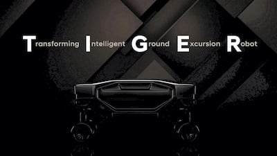 An early teaser image of the Tiger.