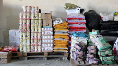 Michelle Francis runs Animals and Us Fujairah in her spare time and has rescued hundreds of animals over the past 17 years.