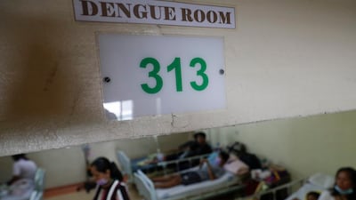 Dengue patients at the San Lazaro government hospital in Manila on August 7. All photos: AP