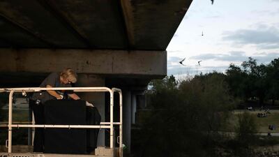 Mary Warwick, wildlife director at the Houston Humane Society, releases bats at Waugh Drive Bridge in Texas. AFP