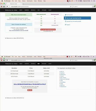 The Welcome to Video child pornography website was hosted on the dark net. AFP / US Department of Justice