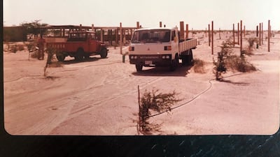 The aim of planting trees was to cool the climate, provide shade and prevent soil erosion. Courtesy David Pryce