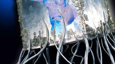 Magic On Ice will be star attraction of the Summer in Abu Dhabi Festival at Zayed Sports City from August 1.