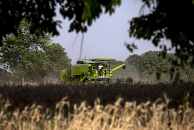 A combine harvester at work in a wheat field in Panipat district of Haryana, India, on April 11, 2021. Bloomberg