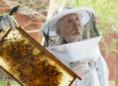 Conservationist Jane Goodall at Expo City Dubai for the launch of the pollinator garden named after her. Chris Whiteoak / The National