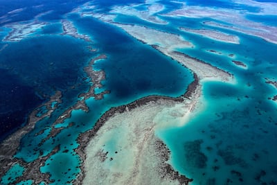 Saudi Arabia's the Red Sea ranks in the 2023 list of the world’s greatest places, according to Time magazine. Photo: Franck Fife