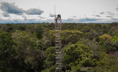 An open-air structure that will help to discover in advance what the future of the biome will be like due to climate change, in Manos, Brazil. EPA