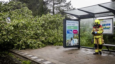 A firefighter stands near an uprooted tree at a public transport stop in Haarlem. EPA