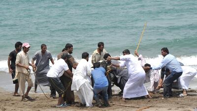 It caused a stir among onlookers who gathered to watch attempts to rescue the animal from the Gulf of Oman.