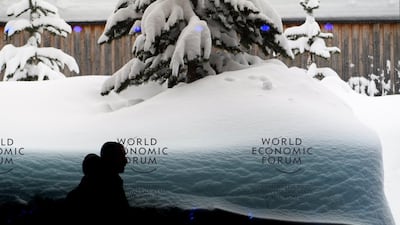Snow-covered trees in Davos, Switzerland, where the World Economic Forum annual meeting brings together entrepreneurs, scientists, chief executives and political leaders / EPA