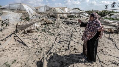 A Palestinian woman inspects her destroyed watermelon farm after it was targeted by an Israeli air strike in Khan Younis, southern Gaza Strip. EPA
